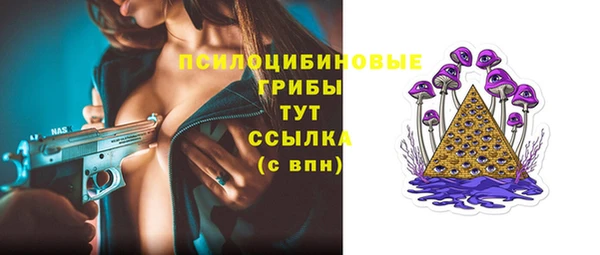 экстази Арсеньев