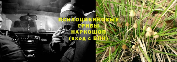 экстази Арсеньев