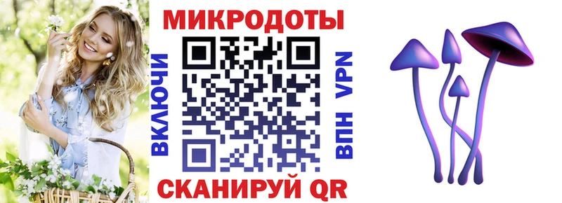 Псилоцибиновые грибы GOLDEN TEACHER  наркотики  Кохма 
